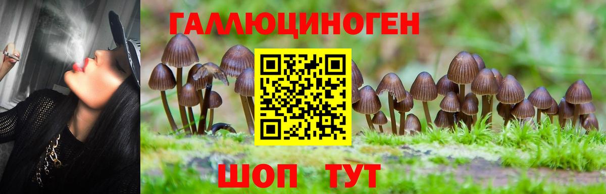 Стрежевой  Галлюциногенные грибы Magic Shrooms  Вход с VPN 